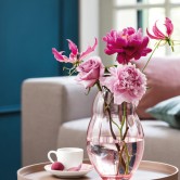 Rose Garden